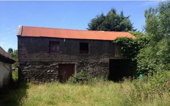 The large outhouse. Image: Daft.ie