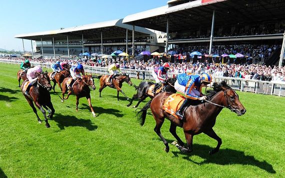 Horses racing at the Curragh, in Kildare.