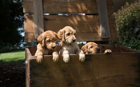 Image: iStock.