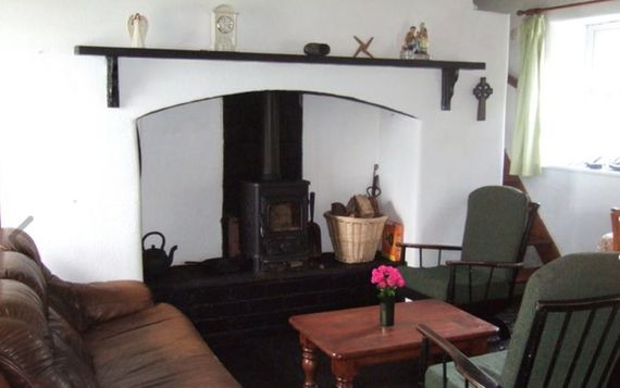 Living room with fireplace. Image: Daft.ie.