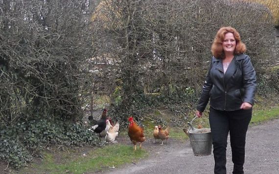 Feeding chickens in Clare. Photo: Kathleen Maloney