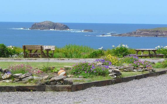 The front garden