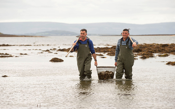 Image: http://www.galwaygastronomy.ie/