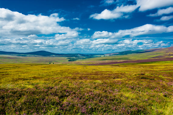 Dublin Mountains are only mountains in name