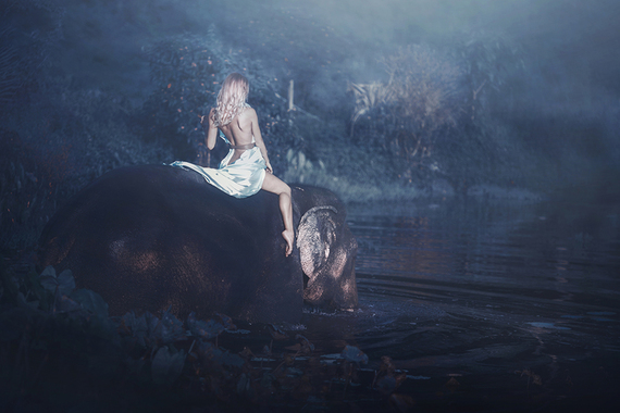 What does it mean to dream of wild animals?