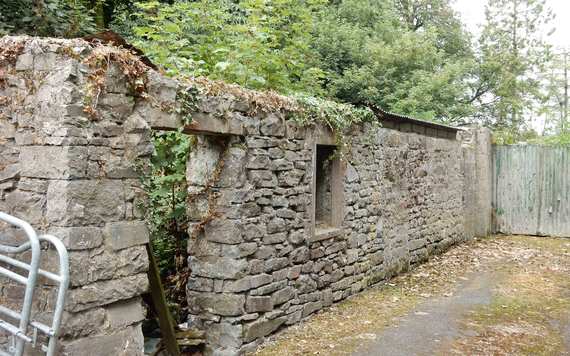 Ruins of stone houses (two in this photo) on Pigfoot Lane in Co. Tipperary where Kate’s great grandmother Mary Water’s was baptized in 1831. Thirty-five plus families lived on Pigfoot Lane when Griffith’s Valuation was taken in 1850.