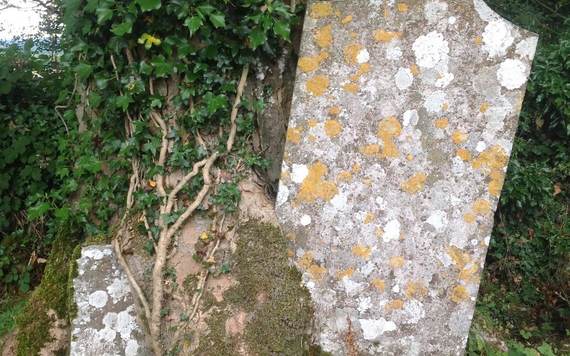Several souls are “lost in time” at the base of this “family tree” in a neglected cemetery in Ireland.