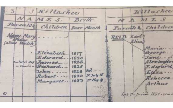Section of the 1846-47 Census of Civil Parish Killashee, Co. Longford, Ireland. A very rare find that contains years of birth for residents!
