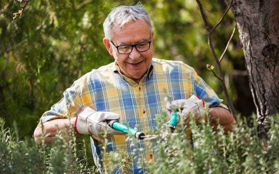Plant window boxes or seedlings to share with neighbors and the elderly.