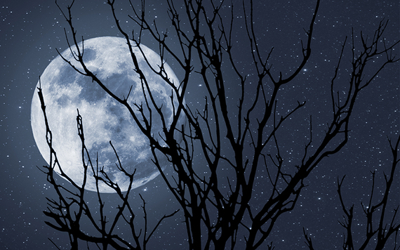 Halloween, or Samhain, marks the start of winter.