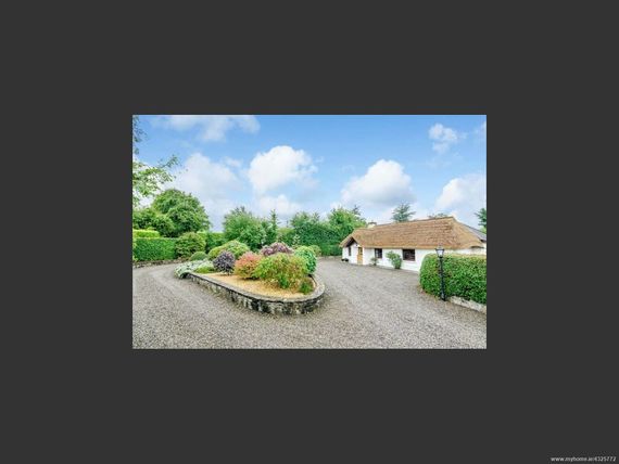 The driveway and front of house.