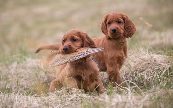 Image: iStock.