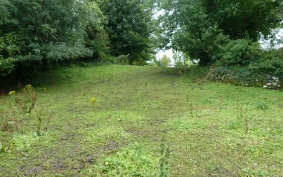 Land at the back of the house. Image: MyHome.ie