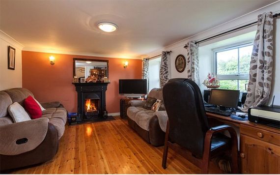 The living room. Image: Sherry Fitzgerald.
