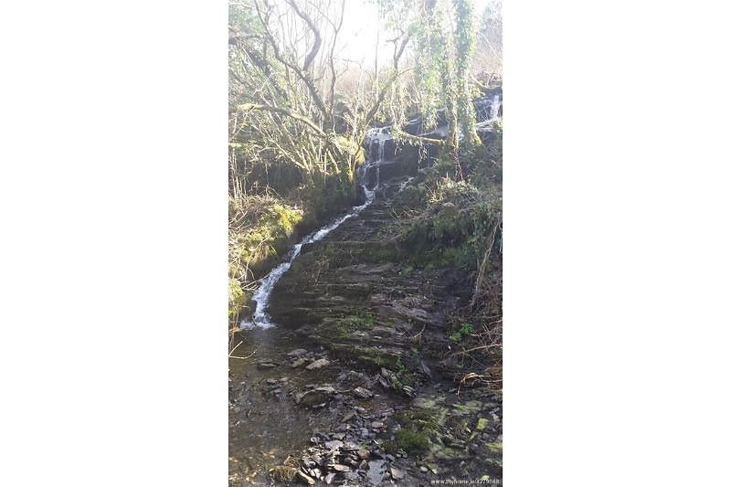 The waterfall at Waterfall Lodge (MyHome.ie)