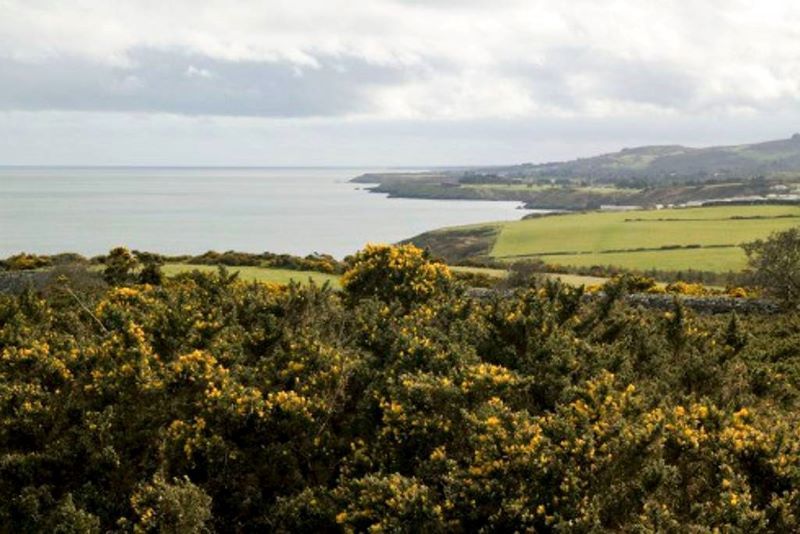 Views from The Wicklow Head Lighthouse (Airbnb)